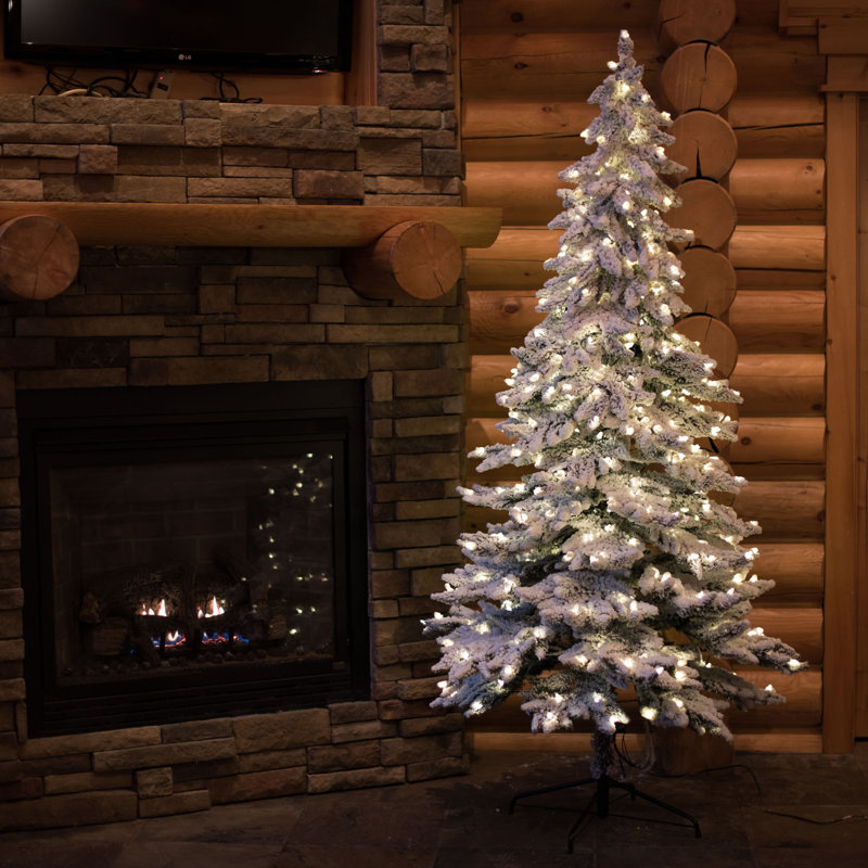 Frosted Christmas Tree Lights 